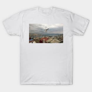 Istanbul Panaromic T-Shirt